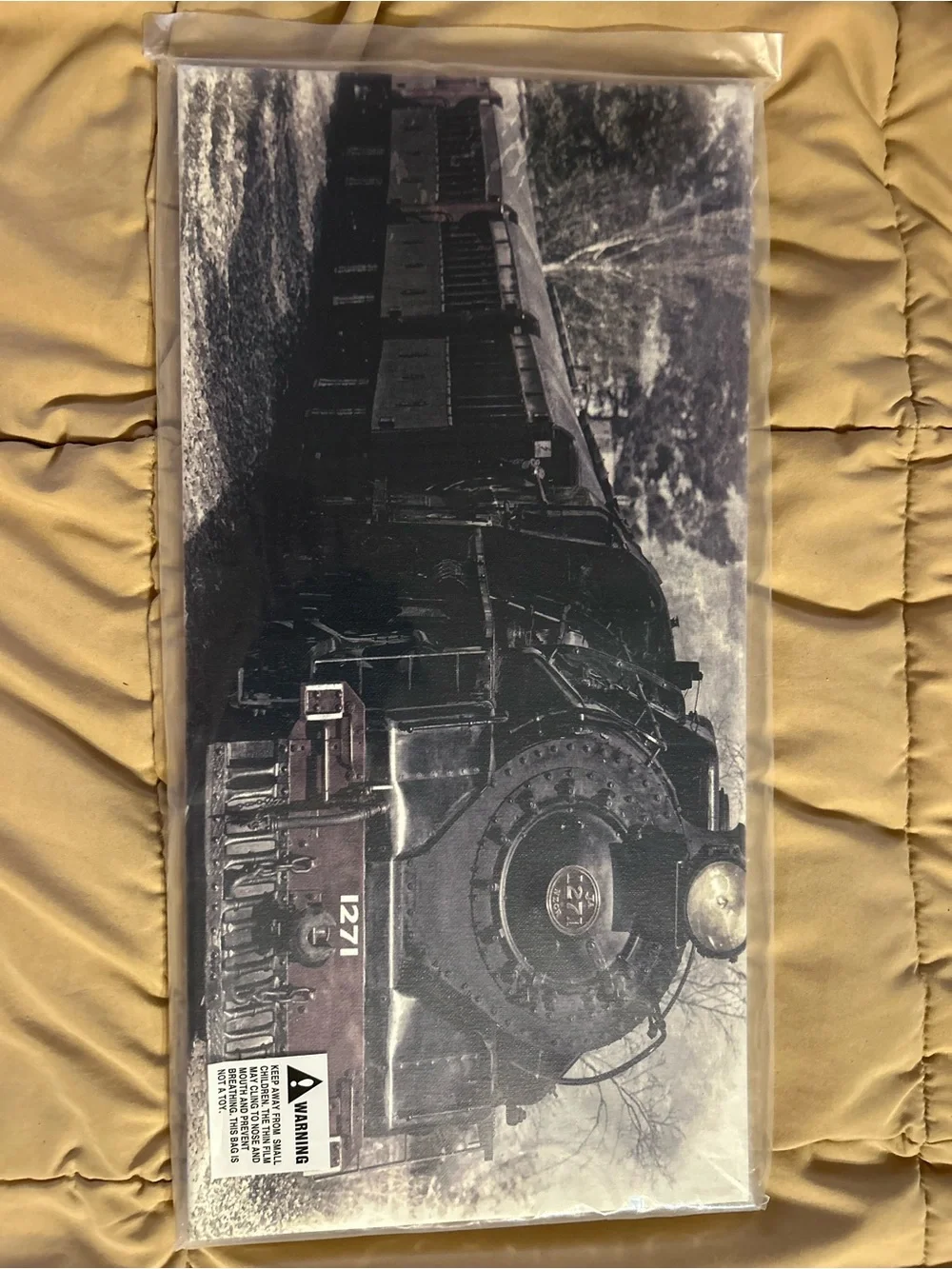 Vintage Steam Train Wall Art - Black & White Home Wall Decor